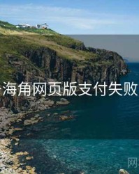 关于海角网页版支付失败排查