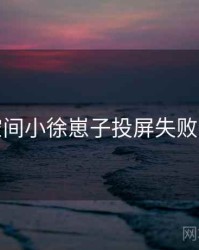 秘语空间小徐崽子投屏失败全流程