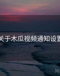 关于木瓜视频通知设置