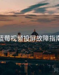 蓝莓视频投屏故障指南