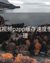 关于p站视频pzpp缓存速度慢如何处理