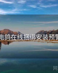 电鸽在线捆绑安装预警