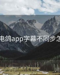 关于电鸽app字幕不同步怎么调
