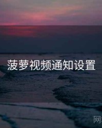 菠萝视频通知设置