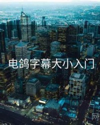 电鸽字幕大小入门