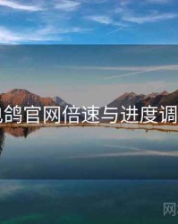 电鸽官网倍速与进度调节