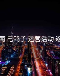 完整指南 电鸽子 运营活动 避坑指南