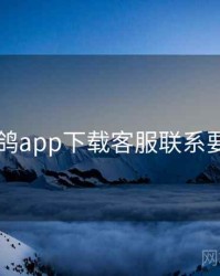 电鸽app下载客服联系要点