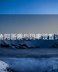 海角网画质与码率设置详解