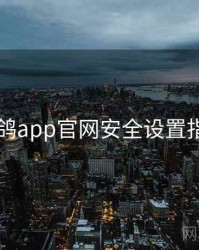 电鸽app官网安全设置指南
