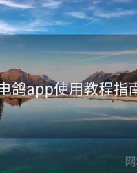 电鸽app使用教程指南