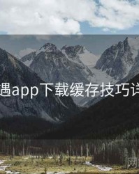 岛遇app下载缓存技巧详解