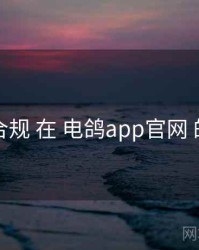 隐私合规 在 电鸽app官网 的实操