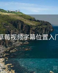 草莓视频字幕位置入门