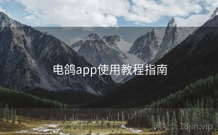 电鸽app使用教程指南 电鸽app使用教程指南