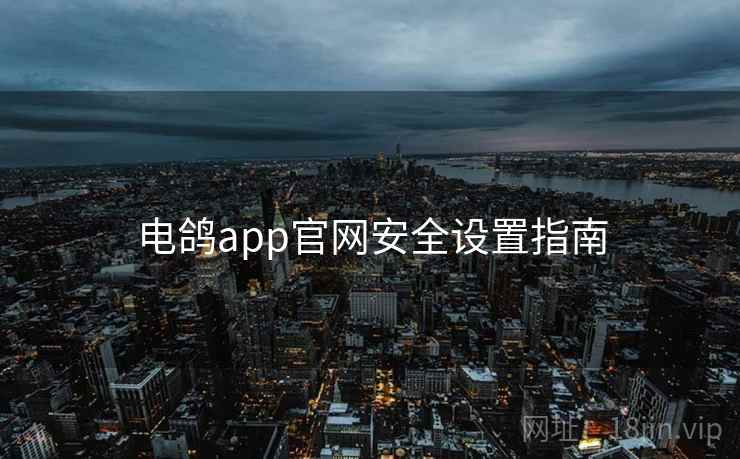 电鸽app官网安全设置指南