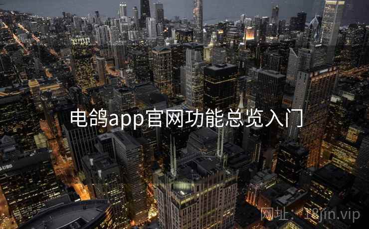 电鸽app官网功能总览入门 电鸽app官网功能总览入门