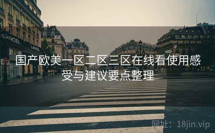 国产欧美一区二区三区在线看使用感受与建议要点整理 国产欧美一区二区三区在线看使用感受与建议要点整理