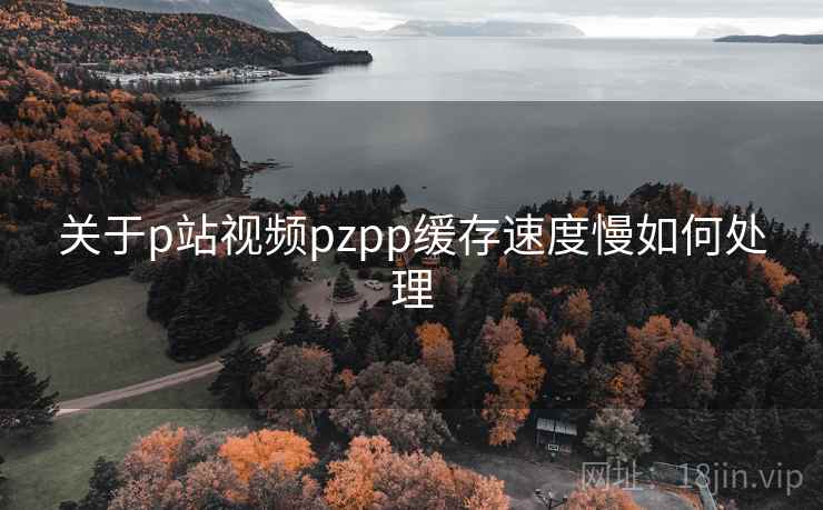 关于p站视频pzpp缓存速度慢如何处理 关于p站视频pzpp缓存速度慢如何处理