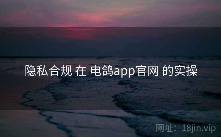 隐私合规 在 电鸽app官网 的实操
